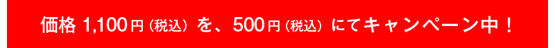 価格1,100円（税込）を、500円（税込）にてキャンペーン中！