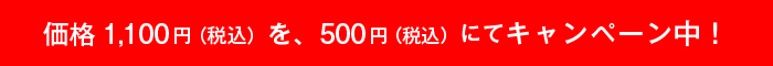 価格1,100円（税込）を、500円（税込）にてキャンペーン中！